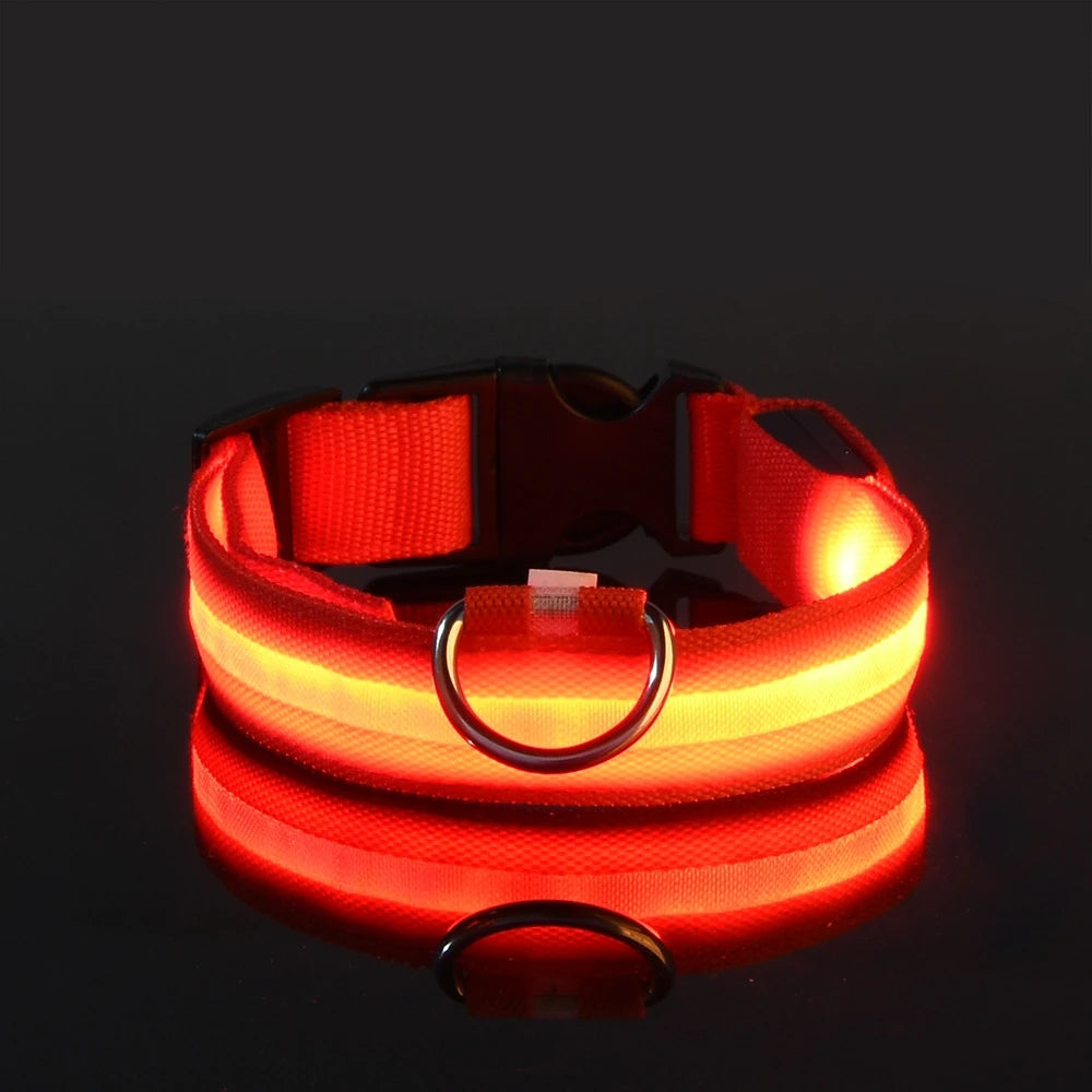 Snoofs Night Glow Collar