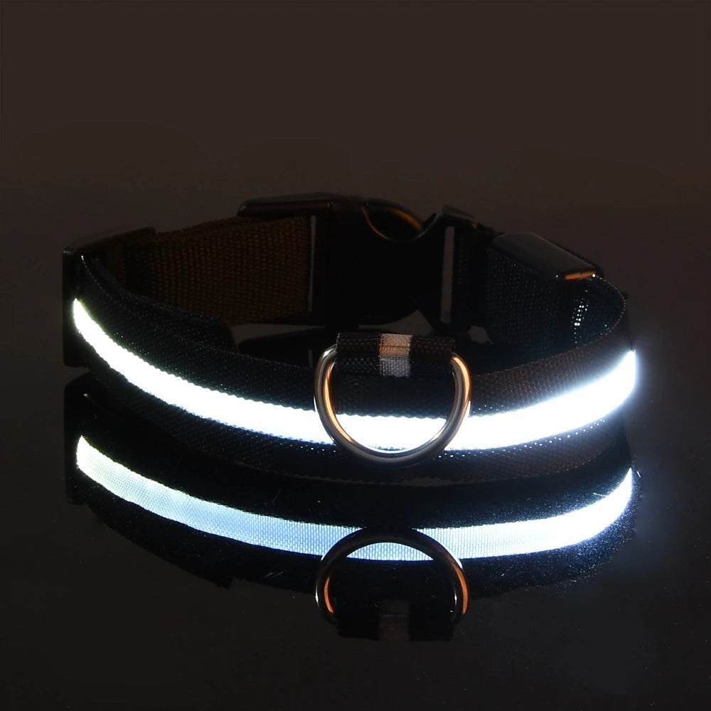 Snoofs Night Glow Collar
