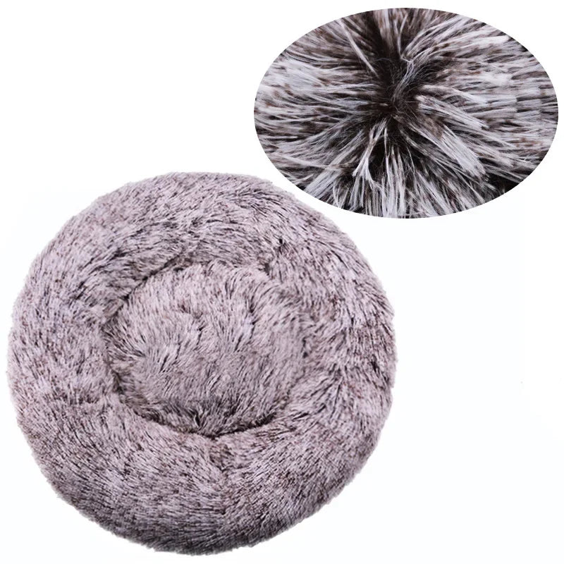 Large Dog Bed