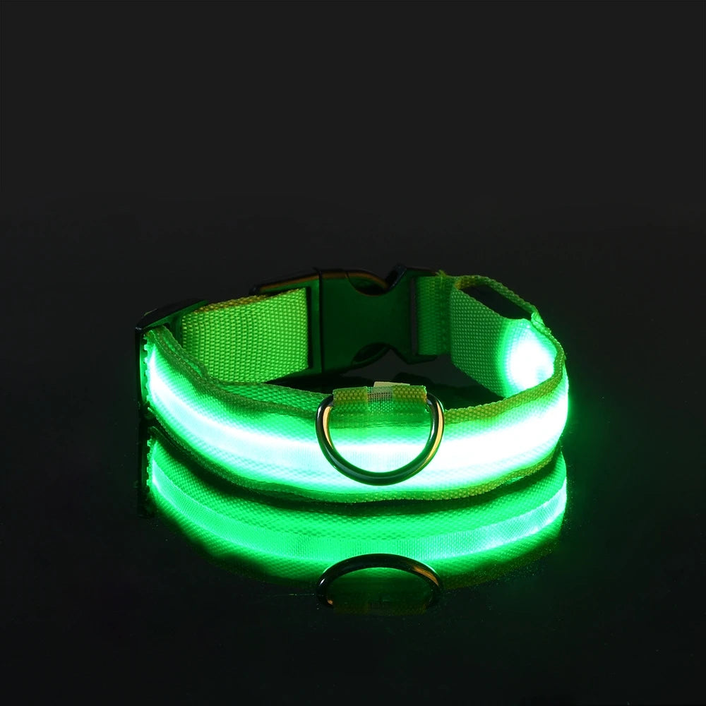 Snoofs Night Glow Collar
