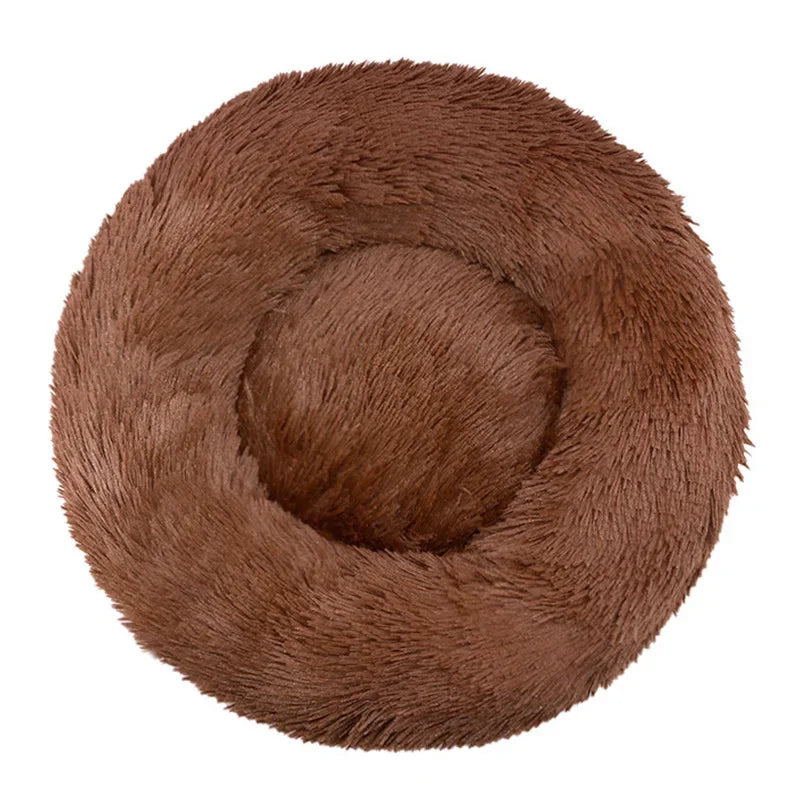 Large Dog Bed