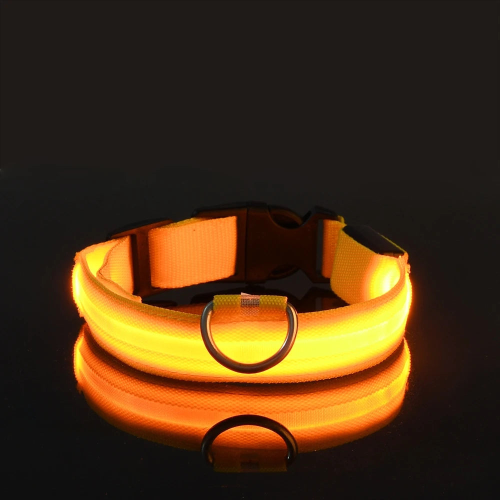 Snoofs Night Glow Collar