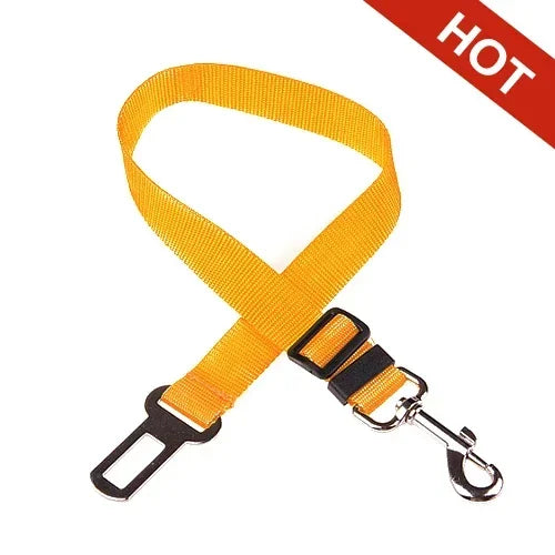 Dog Seat Belt