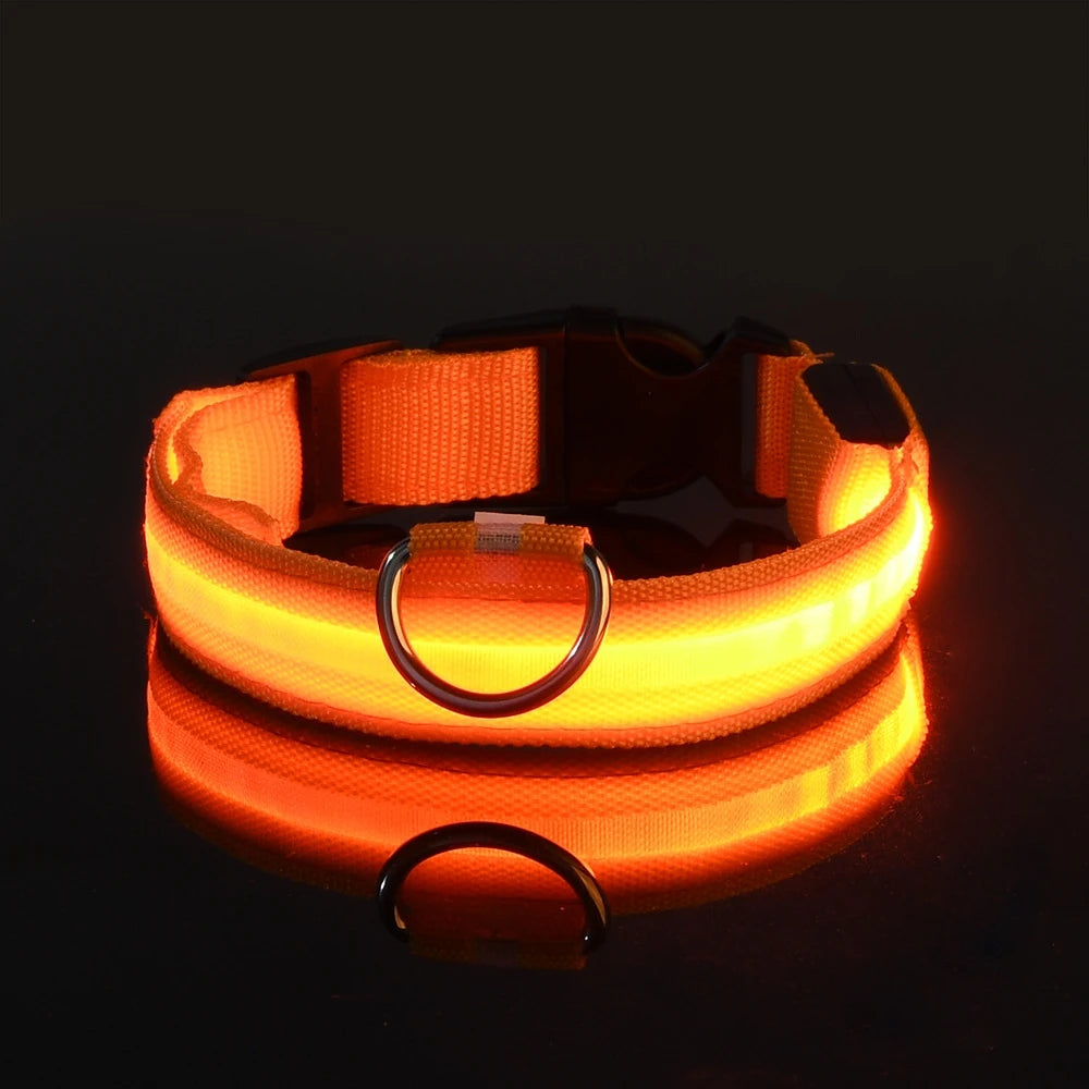 Snoofs Night Glow Collar
