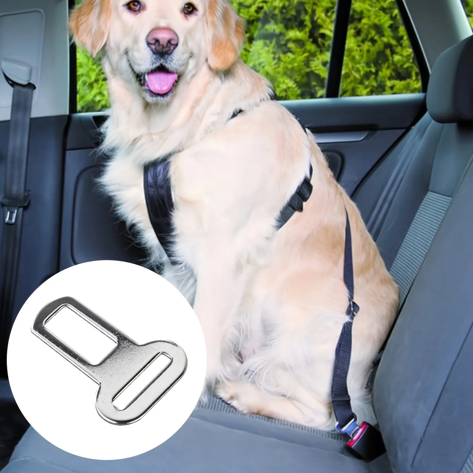 Dog Seat Belt