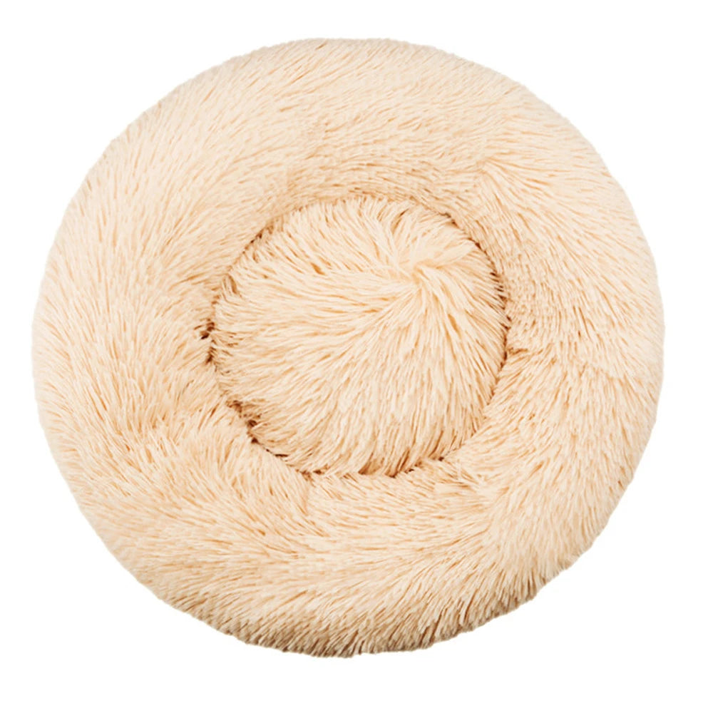 Large Dog Bed