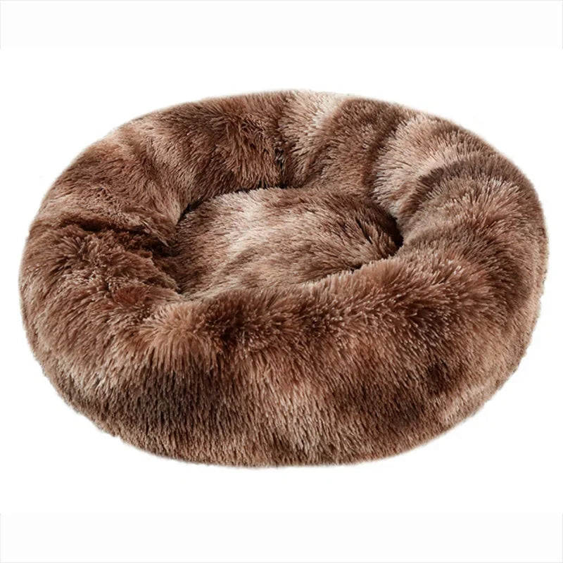 Large Dog Bed