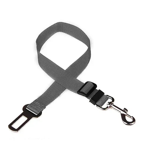 Dog Seat Belt